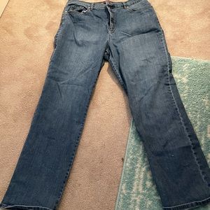 Medium Blue Amanda Jeans by Gloria Vanderbilt